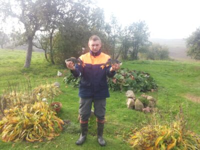 Eurasian perch ×2 — Liminas