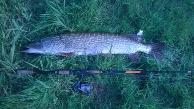 Northern Pike, 6.4 kg — Šventoji
