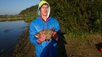 Carp bream, 1.4 kg — Neman River