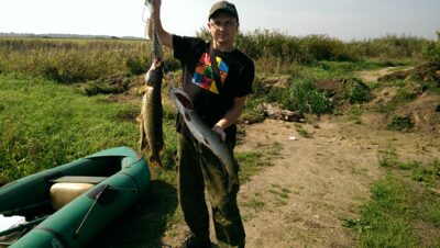 Northern Pike ×5 — Ulmas