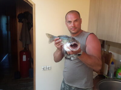 Pike perch, 2.0 kg — Kuršių