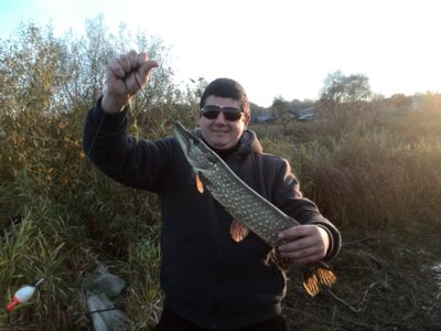 Northern Pike — Neman River