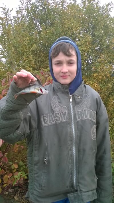 Eurasian perch — Balėnų I-asis