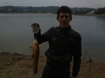 Tench, 1.3 kg — Lampėdis
