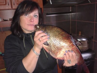 Carp bream, 1.9 kg