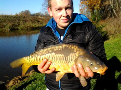 Carp, 3.6 kg