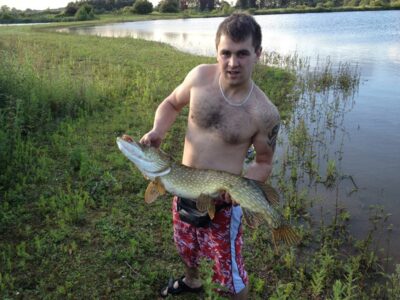 Northern Pike, 8.0 kg