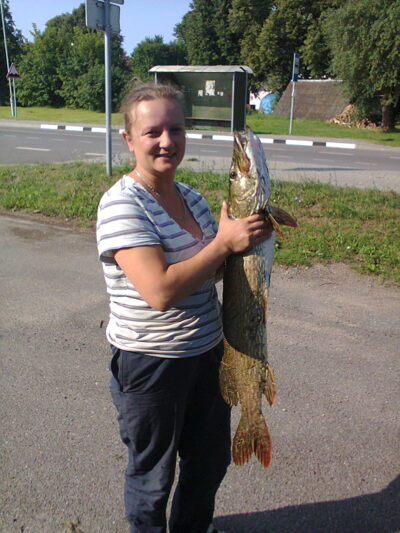 Northern Pike, 5.2 kg
