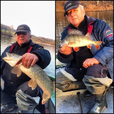 Northern Pike, 1.4 kg