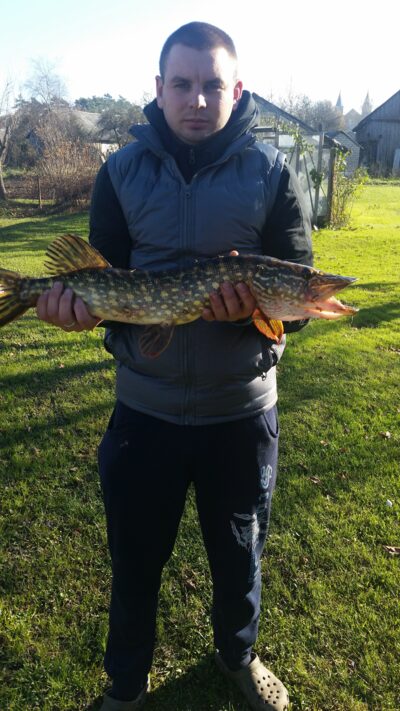 Northern Pike, 2.3 kg — Ruškis