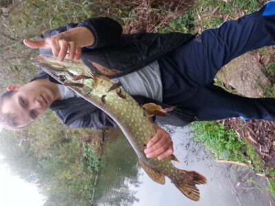Northern Pike