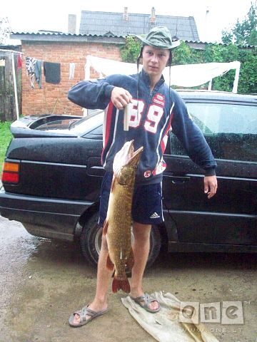 Northern Pike, 6.0 kg — Mūša