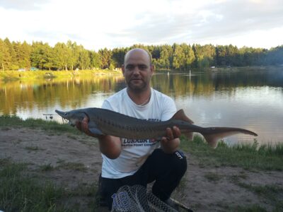 Beluga, 2.4 kg — Vökerweiher