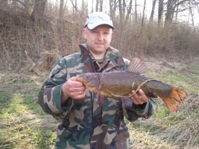 Tench, 1.9 kg — Mūša