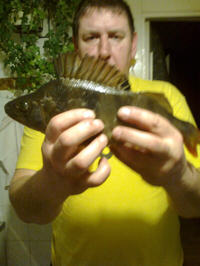 Northern Pike, 0.7 kg