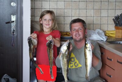 Pike perch ×4 — Kaunas reservoir