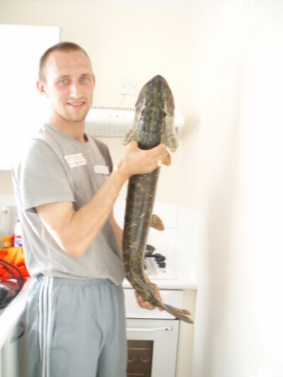 Northern Pike, 8.0 kg