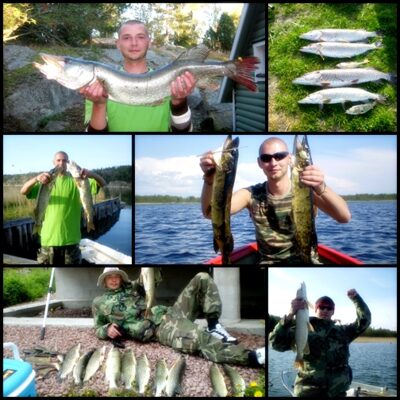 Northern Pike