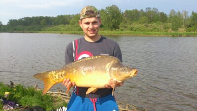 Carp, 10.0 kg