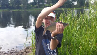 Carp bream — Karvys
