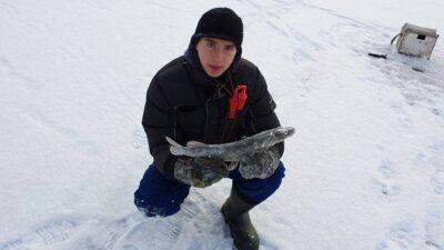 Northern Pike, 0.8 kg — Imbradas