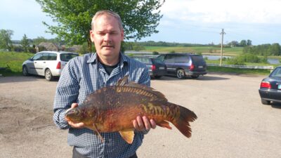 Carp, 5.0 kg