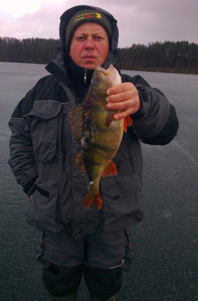 Eurasian perch, 1.2 kg — Vencavas