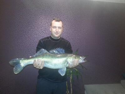 Pike perch, 4.5 kg — Neman River