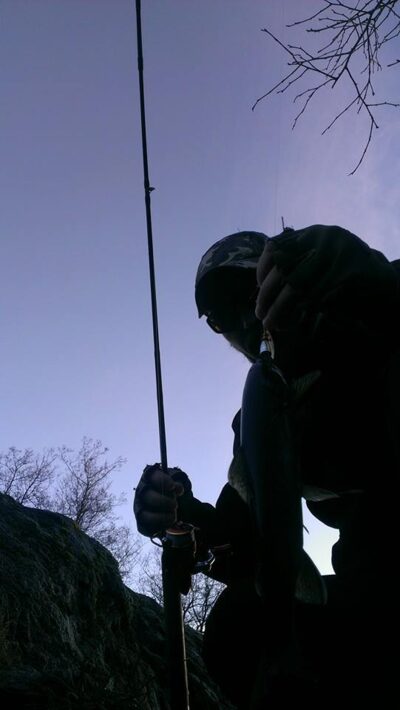 Brown Trout ×2