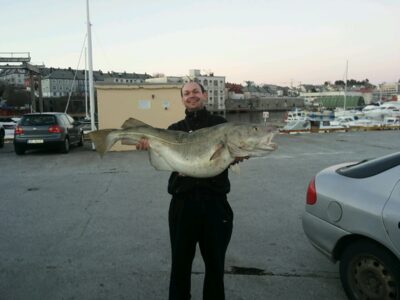 Atlantic cod, 21.0 kg