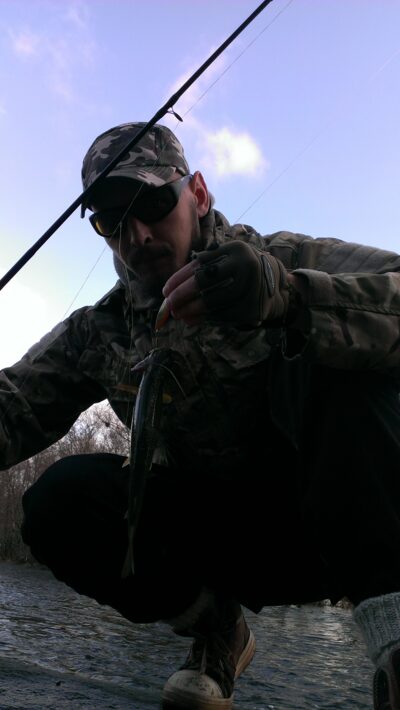 Brown Trout