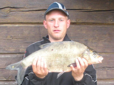 Carp bream
