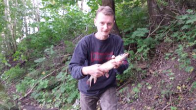 Northern Pike