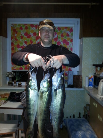 Pike perch ×3 — Neman River
