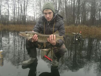 Northern Pike, 2.2 kg — Pečiakurka