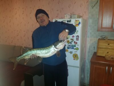 Northern Pike, 4.5 kg
