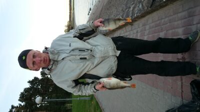 Eurasian perch ×2