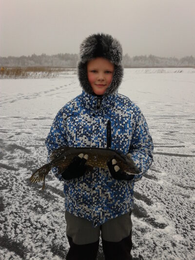 Northern Pike — Platelių