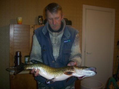 Northern Pike — Švobiškio