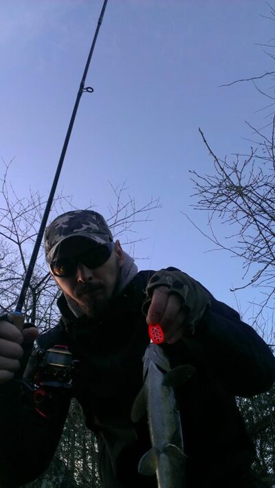 Brown Trout