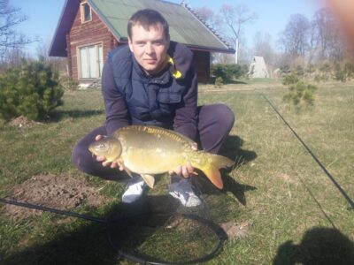 Carp, 5.0 kg