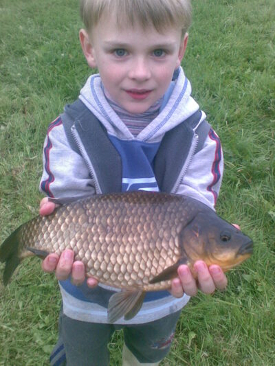 Prussian carp