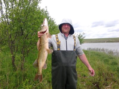 Northern Pike, 4.2 kg — Janušonių