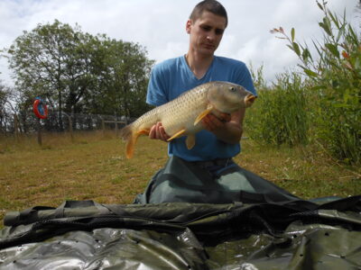 Carp