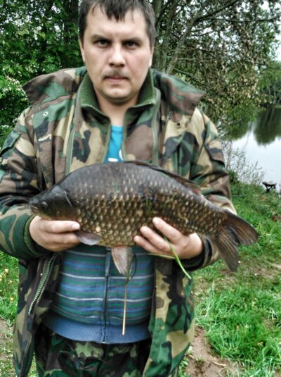 Crucian carp, 2.8 kg — Naudvario