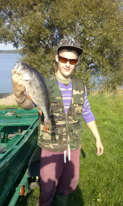 Eurasian perch, 0.9 kg