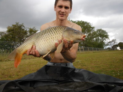 Carp