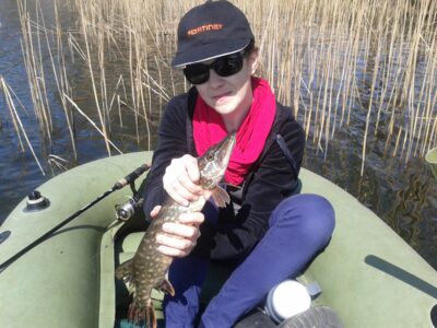 Northern Pike — Melkys