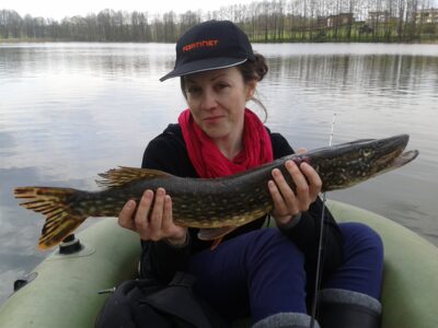 Northern Pike, 1.7 kg — Melkys