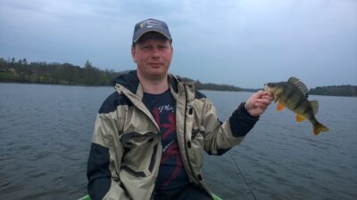 Eurasian perch, 0.4 kg — Našys